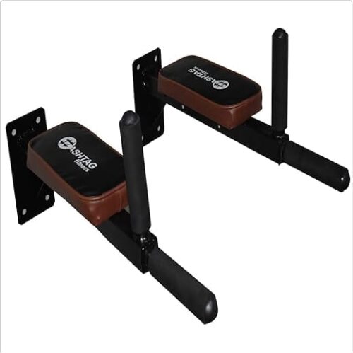 Wall Mount Dip Bars